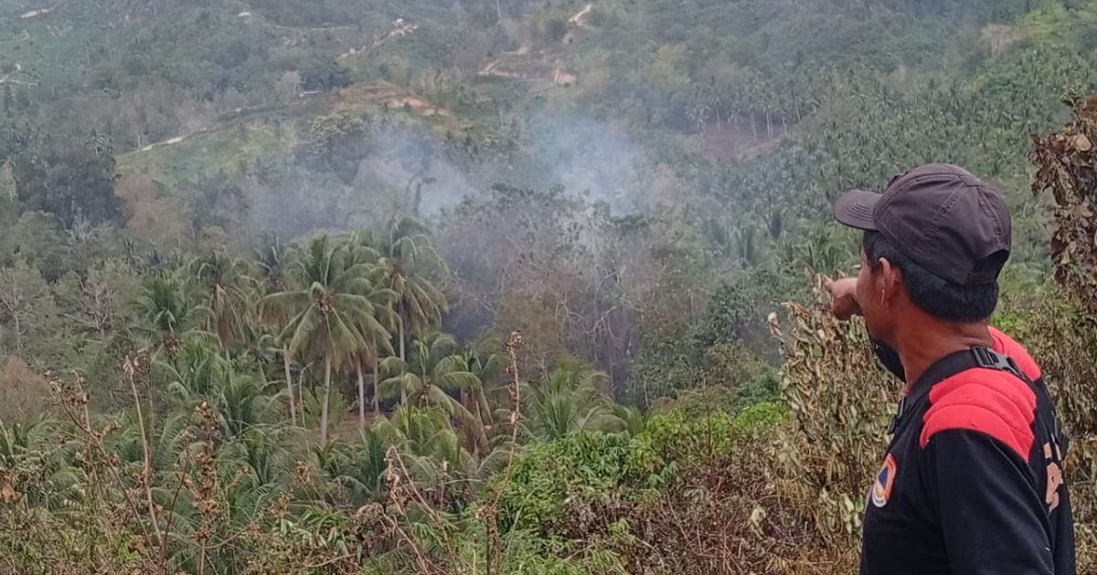 Awal Maret: Karhutla, Angin Kencang dan Banjir Masih Bayangi Sejumlah Daerah