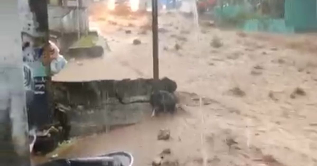 Tangis dan Kepanikan Warga Saat Banjir Melanda Tamansari Bogor