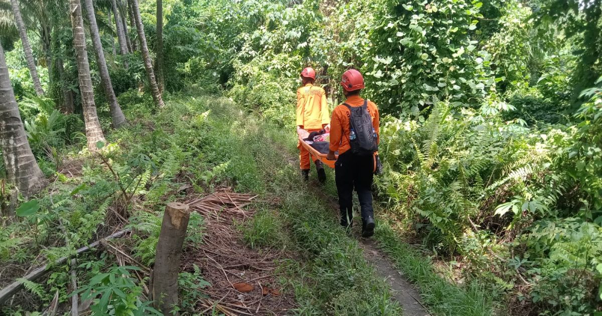 Gunung Dukono Erupsi: 20 Pendaki Terjebak, Tim SAR Bergerak Cepat