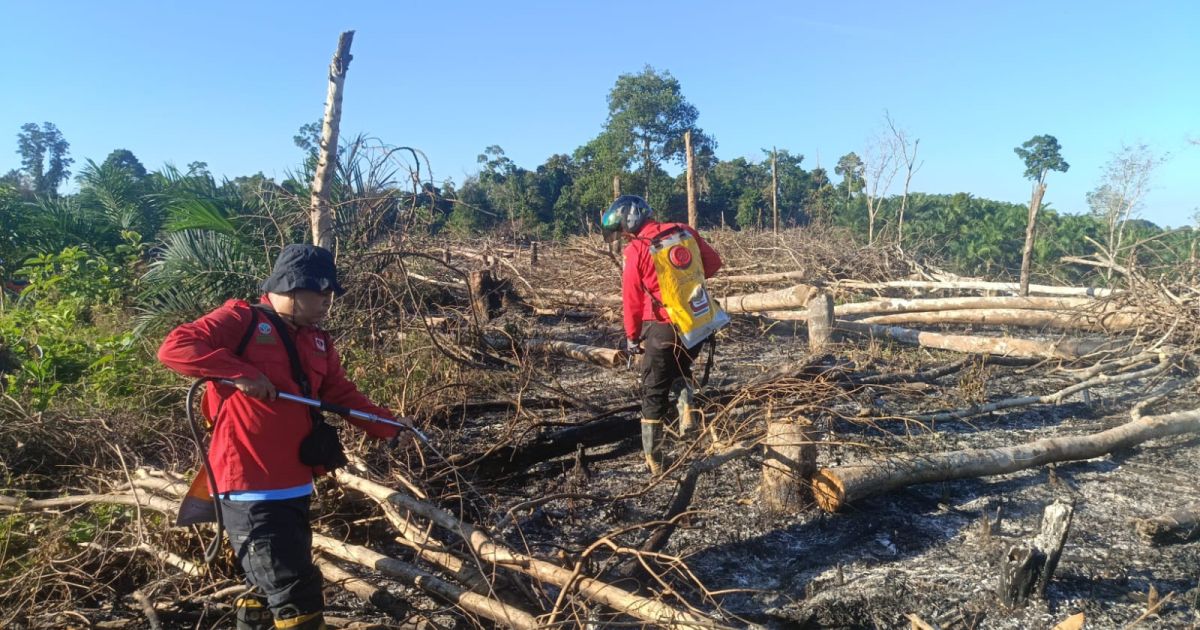 BNPB: Angin Kencang dan Karhutla Warnai Laporan Bencana 28–29 Mei 2026