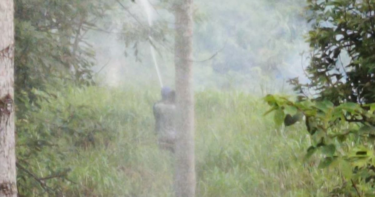 BNPB: Kekeringan Meluas, Karhutla dan Banjir Masih Bayangi Sejumlah Daerah