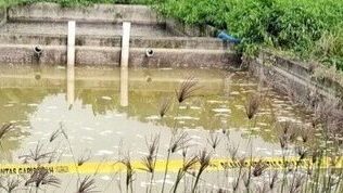 Cemari Sungai, Pabrik Pakan Ternak di Klapanunggal Bogor Disegel DLH
