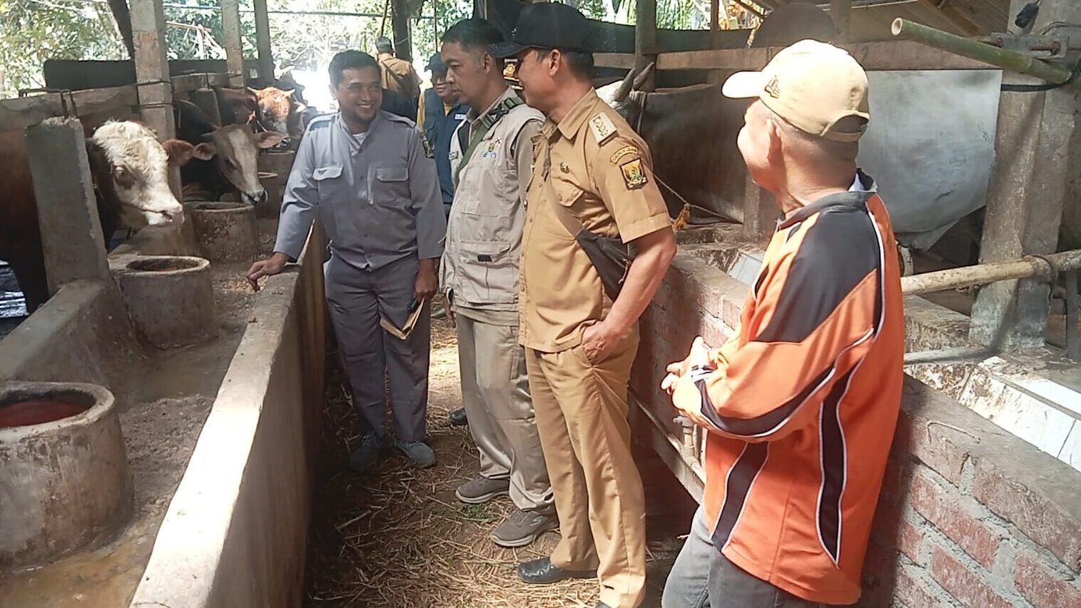Pastikan Hewan Qurban Sehat, Camat Sagaranten dan Diskan Sukabumi Gelar Pemeriksaan Antemortum