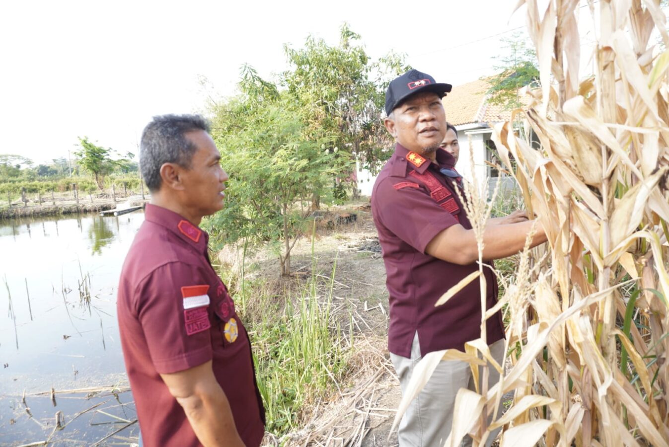 Lapas Kendal Kembangkan Pisang Jenis Morosebo, Upaya Dukung Program Ketahanan Pangan