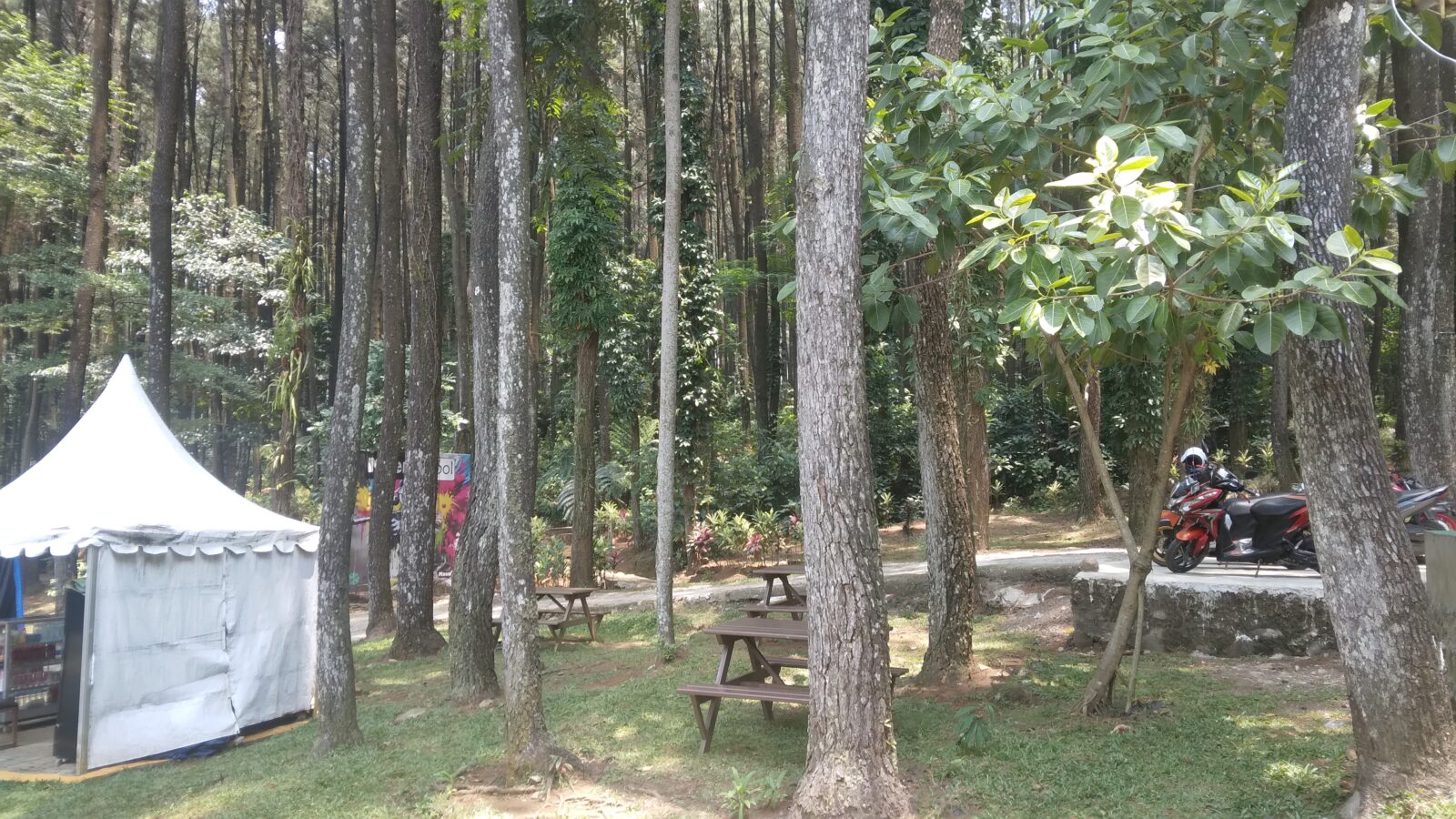 Liburan Murah Musim Panas, “Hutan Pinus” Karang Tengah Bogor Jadi Pilihan Warga