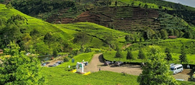 Brebes Selatan Segera Mekar Jadi Kabupaten Baru, Ada 6 Kecamatan Yang  Bakal Tergabung