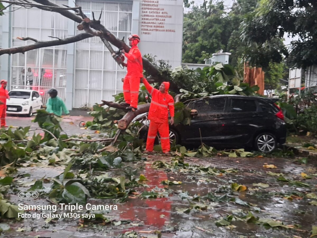 Hujan Deras Disertai Angin Kencang di Bogor, Sejumlah Kendaraan Tertimpa Pohon