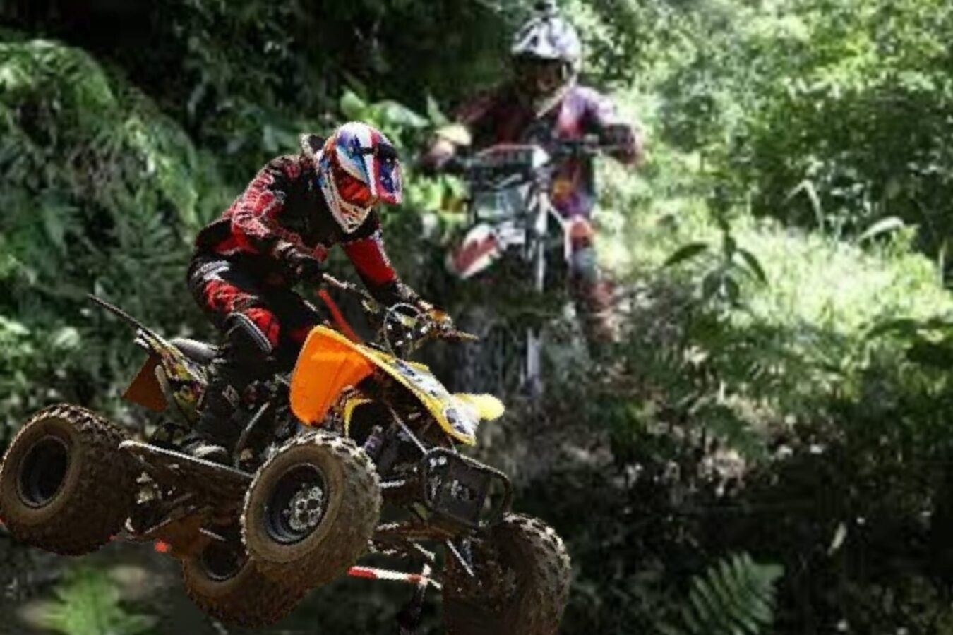 FK3I Minta KLHK Evaluasi PT AIL dan Aktivitas Trabas Kawasan Hutan di Bogor