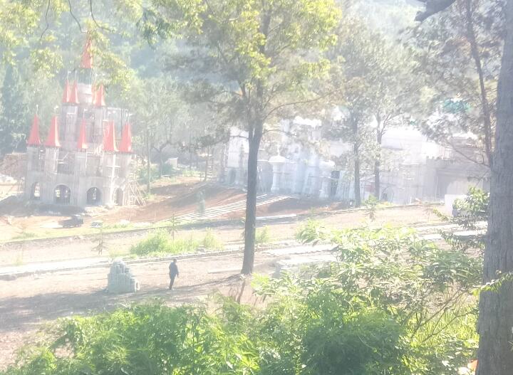 Soroti Kawasan Puncak Bogor, Aktivis Ingatkan Jangan Bangun Gedung di Kawasan Hutan Produksi